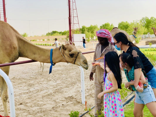 Dubai Holidays with kids