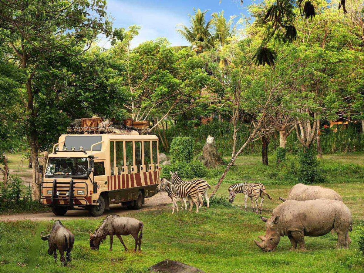 Bali little adventurers -  Safari park - Myladytrip.com