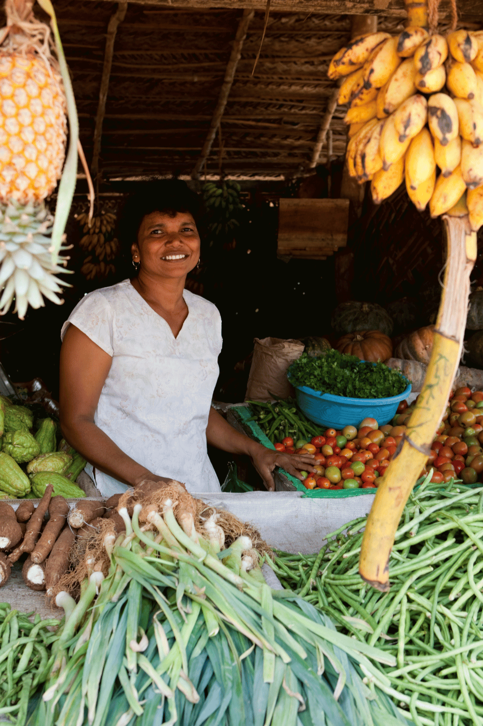 Destination Sri Lanka - Myladytrip