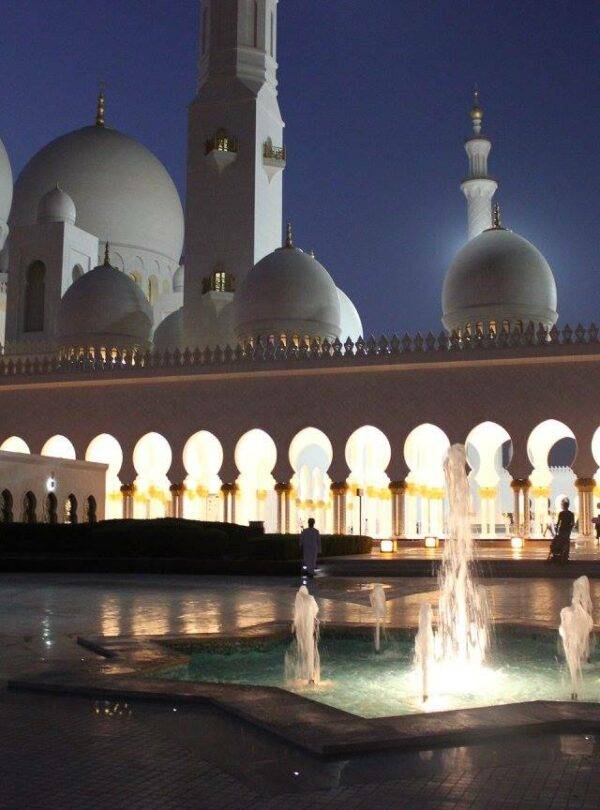 1957838 10152474462921732 3937310339367438543 o