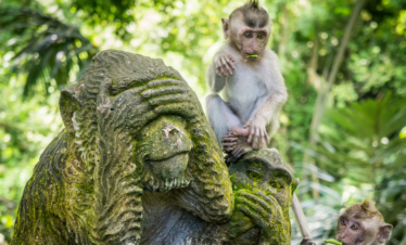 Cultural Bali with woman - Myladytrip.com