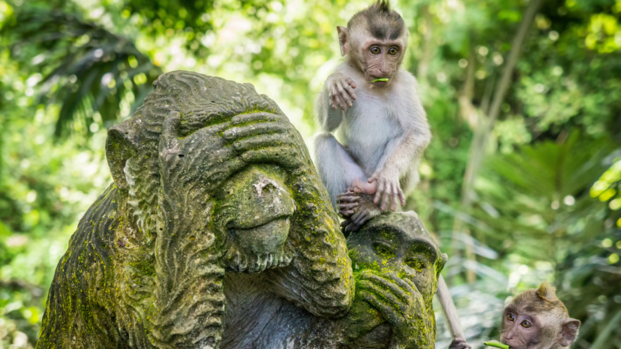 Cultural Bali with woman - Myladytrip.com