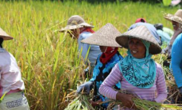 Bali little adventurers - Bali with kids - myladytrip.com