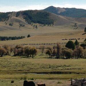 540277452_10230865333199078_2462747544269504293_n