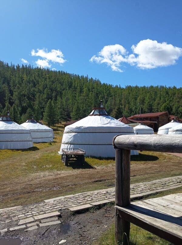 541639816 10230864047166928 3785708287538243111 n