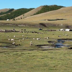 541731807_10230865328638964_2877247810312375998_n