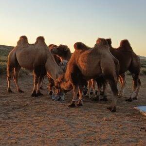 544822640_10230909751589510_5681677372869536247_n