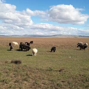 545036350_10230909561544759_7970261754249928340_n