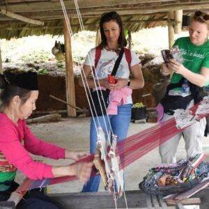 540489907_809793812212825_268851924950703124_n