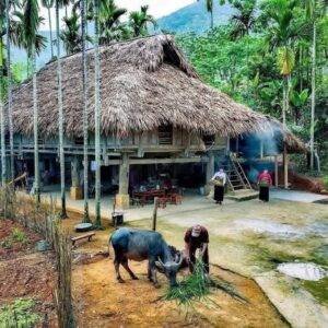 541501851_809793782212828_7645134563777129634_n