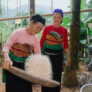 543533784_809793902212816_5787920021292389715_n