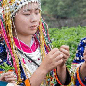 Nothern Thailand for women