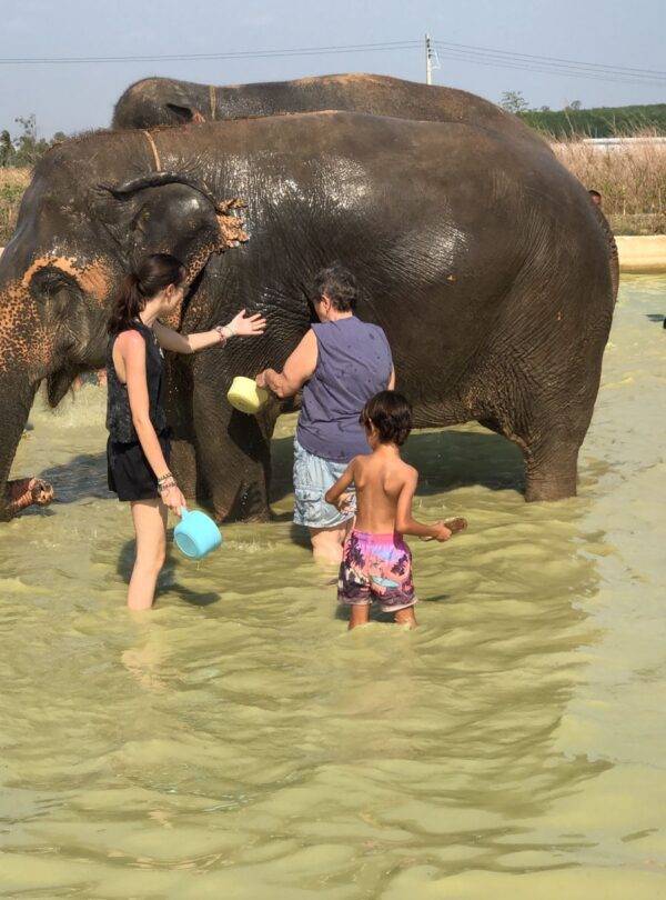 WhatsApp Image 2025 12 10 at 09.36.08 1